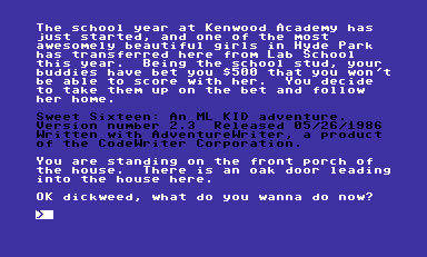 Sweet Sixteen (Commodore 64) screenshot: Starting location