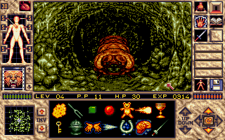 Elvira II: The Jaws of Cerberus (Amiga) screenshot: In the spider-tunnels, you will encounter many disgusting creatures.