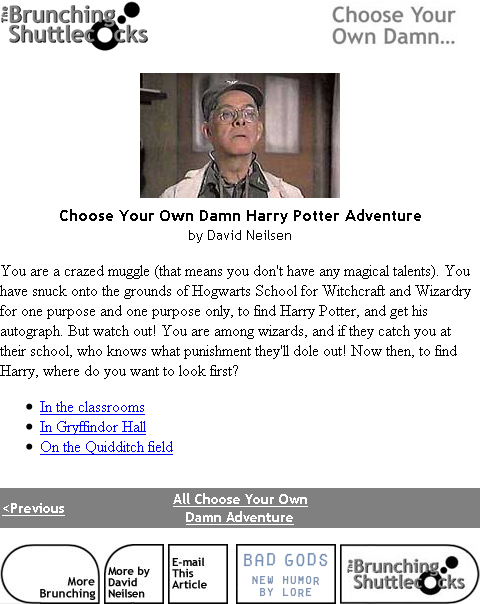 Choose Your Own Damn Harry Potter Adventure (Browser) screenshot: Starting location