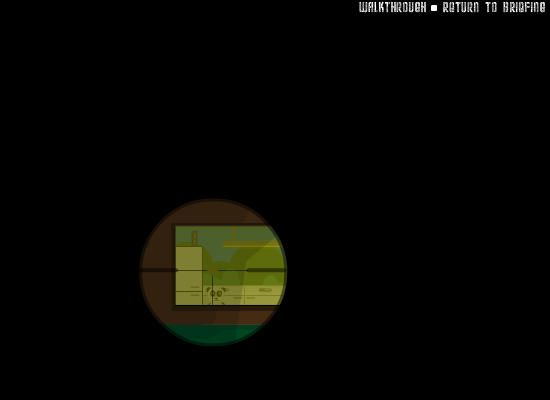 Screenshot of Panda Tactical Sniper (Browser, 2008) - MobyGames