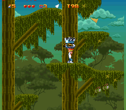The Adventures of Mighty Max (SNES) screenshot: Forest level