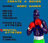 Evander Holyfield's "Real Deal" Boxing (Game Gear) screenshot: Creating a boxer.
