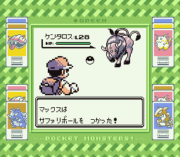 Pocket Monsters Midori (Game Boy) screenshot: Lobbing a pokeball at a rare specimen.