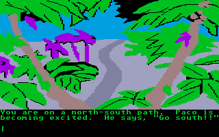 Amazon (Atari ST) screenshot: Near the lost city.