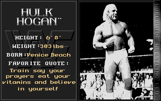 WWF European Rampage Tour (Atari ST) screenshot: Info about Hulk Hogan