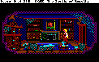King's Quest IV: The Perils of Rosella (Amiga) screenshot: Is that a picture of Roberta Williams on the wall?