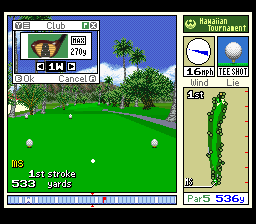 True Golf Classics: Waialae Country Club (SNES) screenshot: Select a club