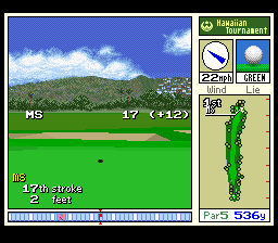 True Golf Classics: Waialae Country Club (SNES) screenshot: Finished the 1st hole