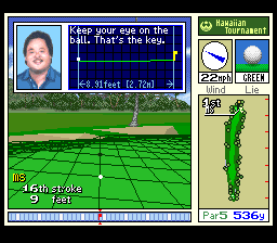 True Golf Classics: Waialae Country Club (SNES) screenshot: The green grid