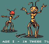 Antz (Game Boy Color) screenshot: Opening of stage 1.