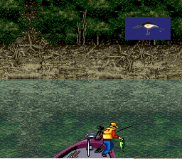 Mark Davis' The Fishing Master (SNES) screenshot: Picked the fish out of the water