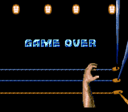 WCW SuperBrawl Wrestling (SNES) screenshot: Game over