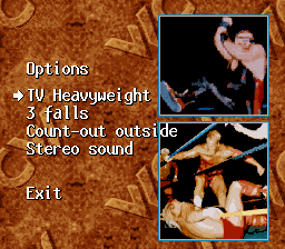 WCW SuperBrawl Wrestling (SNES) screenshot: Options