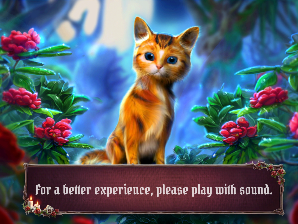 Grim Legends: The Forsaken Bride (Collector's Edition) (iPad) screenshot: You are advised to have your sound on