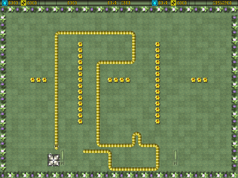 Feed the Snake (Windows) screenshot: The snake is entering the exit to the next level
