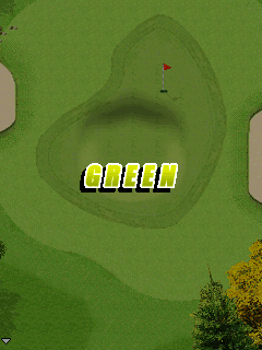 The Open Championship (J2ME) screenshot: Hitting green