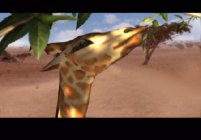 GTC: Africa (PlayStation 2) screenshot: Intro movie - African wildlife on the savannah.