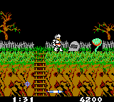 Ghosts 'N Goblins (Game Boy Color) screenshot: These plants spit fireballs at you