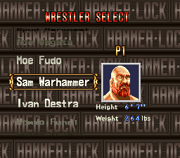 Hammerlock Wrestling (SNES) screenshot: Wrestler select