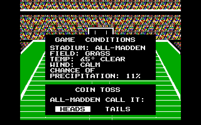John Madden Football (DOS) screenshot: The game conditions