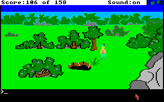 King's Quest (Amiga) screenshot: What is down in that hole?