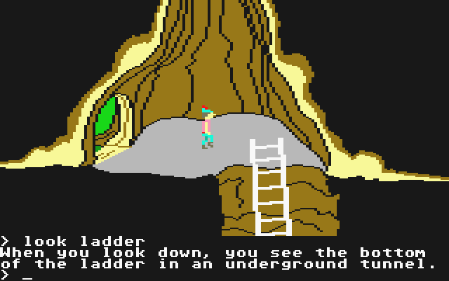 King's Quest II: Romancing the Throne (Atari ST) screenshot: Inside the treehouse