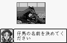 Kyousouba Ikusei Simulation: KEIBA (WonderSwan) screenshot: Aww how sweet a baby.