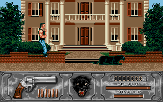 Wild Streets (Atari ST) screenshot: Lowered to the ground.