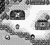 Legend of the River King GB (Game Boy) screenshot: A pond