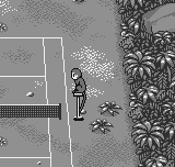 Pocket Tennis (Neo Geo Pocket) screenshot: Jungle court overview  A intent monkey will be the referee here... :-D