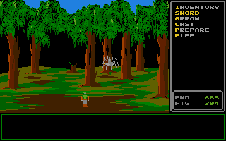 Rings of Zilfin (Atari ST) screenshot: Spiders attack in the Feldor South
