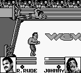 WCW Wrestling: The Main Event (Game Boy) screenshot: Incoming stork