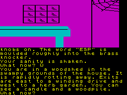 The Price of Magik (ZX Spectrum) screenshot: There ain't nothing in the woodshed, except maybe some wood