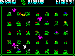 Dingo (ZX Spectrum) screenshot: Level 1: Chucking a dingo.