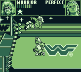 WWF Superstars (Game Boy) screenshot: A high risk maneuver from the top of the ropes