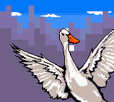 Babe and Friends (Game Boy Color) screenshot: Even more photogenic. Look at those wings.