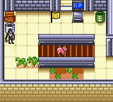 Babe and Friends (Game Boy Color) screenshot: Airport...