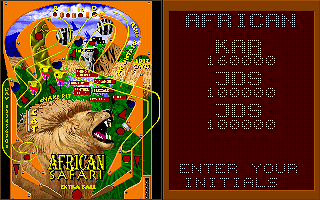 Epic Pinball: The Complete Collection (DOS) screenshot: Enter Your name