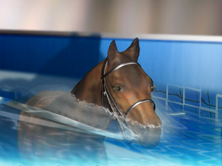 Derby Stallion (PlayStation) screenshot: Time to take a bath :)