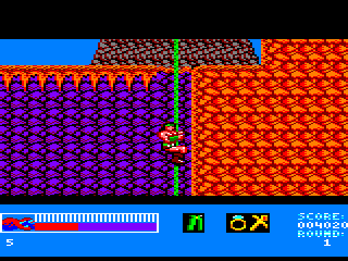 Rastan (Amstrad CPC) screenshot: Climbing a vine