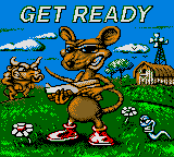 rats for gameboy color