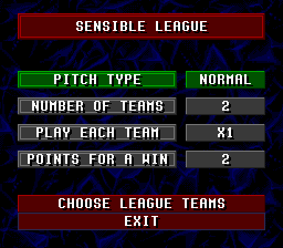 Championship Soccer '94 (SNES) screenshot: League options