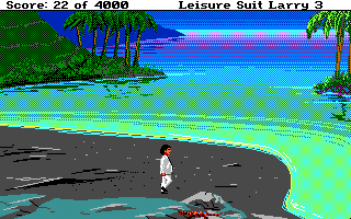 Leisure Suit Larry III: Passionate Patti in Pursuit of the Pulsating Pectorals (Atari ST) screenshot: Not the nicest beach around...