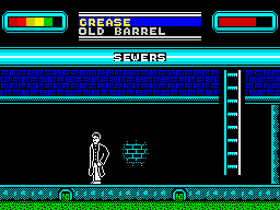 Streets of Doom (ZX Spectrum) screenshot: Sewers