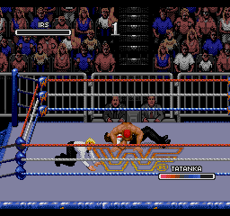 WWF Rage in the Cage (SEGA CD) screenshot: I'm down
