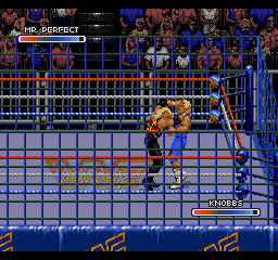 WWF Rage in the Cage (SEGA CD) screenshot: Fighting in the cage