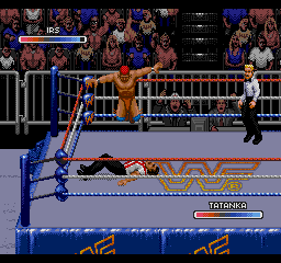 WWF Rage in the Cage (SEGA CD) screenshot: This is gonna hurt