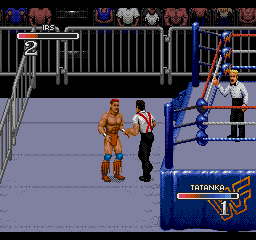 WWF Rage in the Cage (SEGA CD) screenshot: Fighting outside the ring