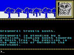 Runestone (ZX Spectrum) screenshot: Useful