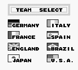 Football International (Game Boy) screenshot: Team select.